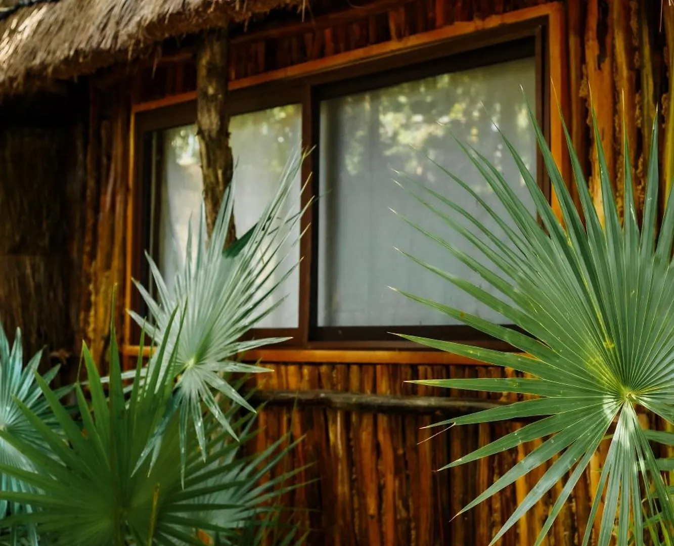 Hotel Eco Banitas Tulum 0*,  Mexique