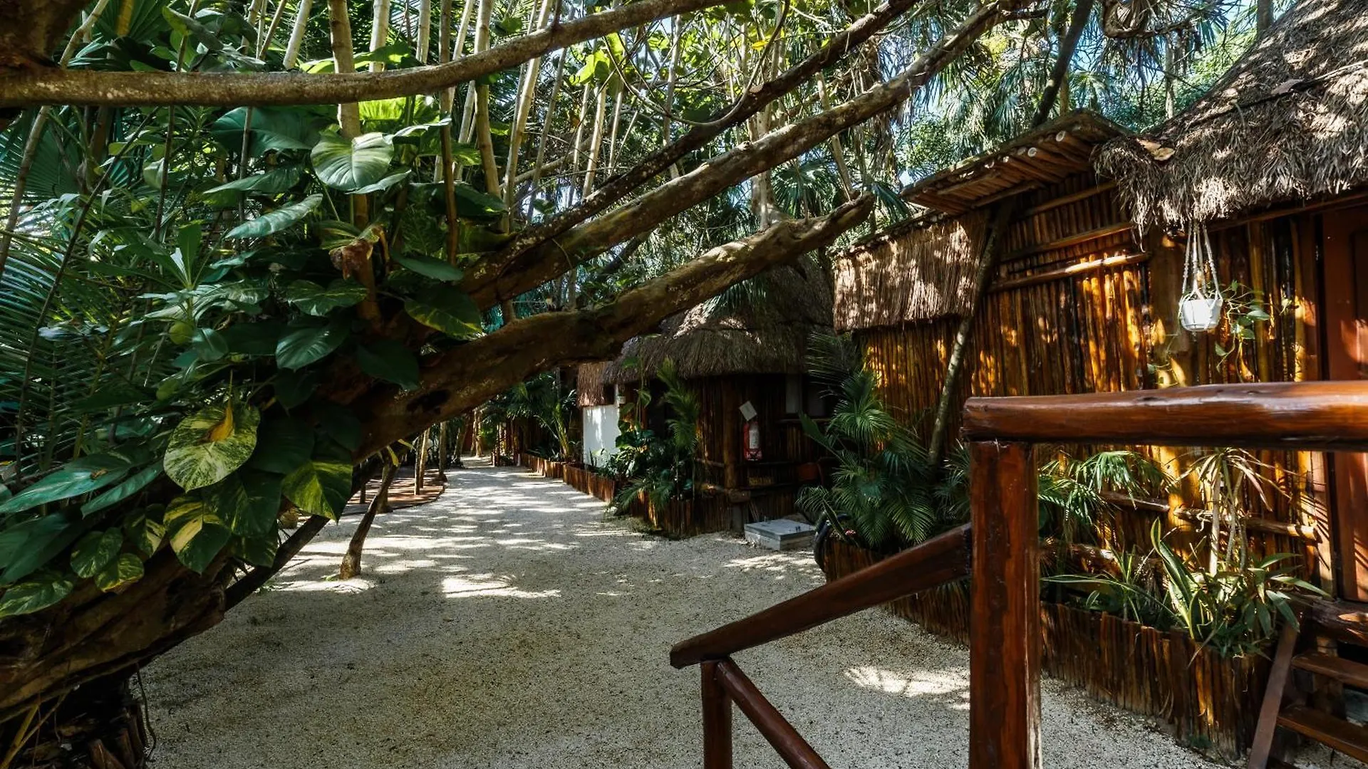فندق Eco Banitas تولوم