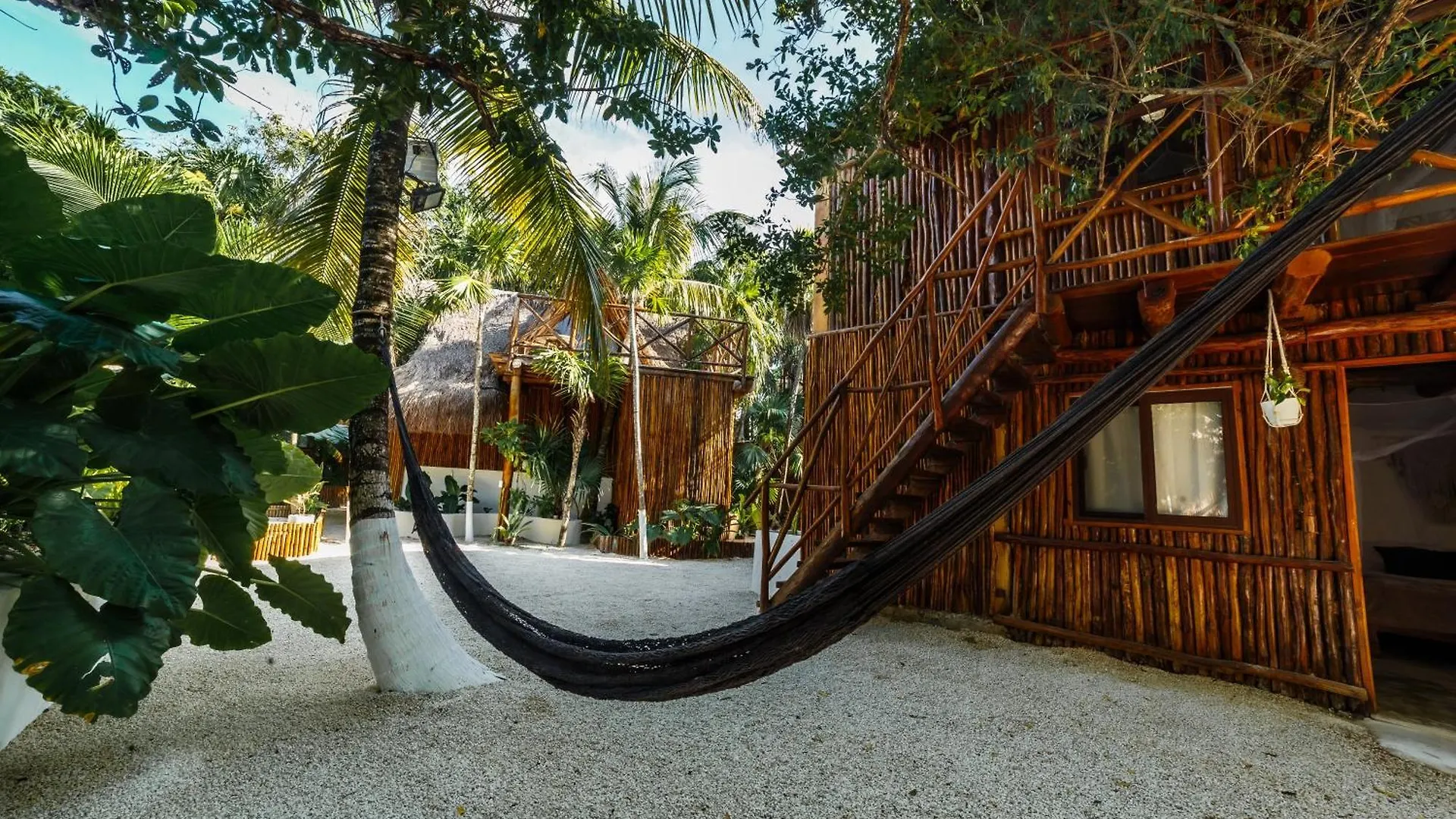 فندق Eco Banitas تولوم 0*,  المكسيك
