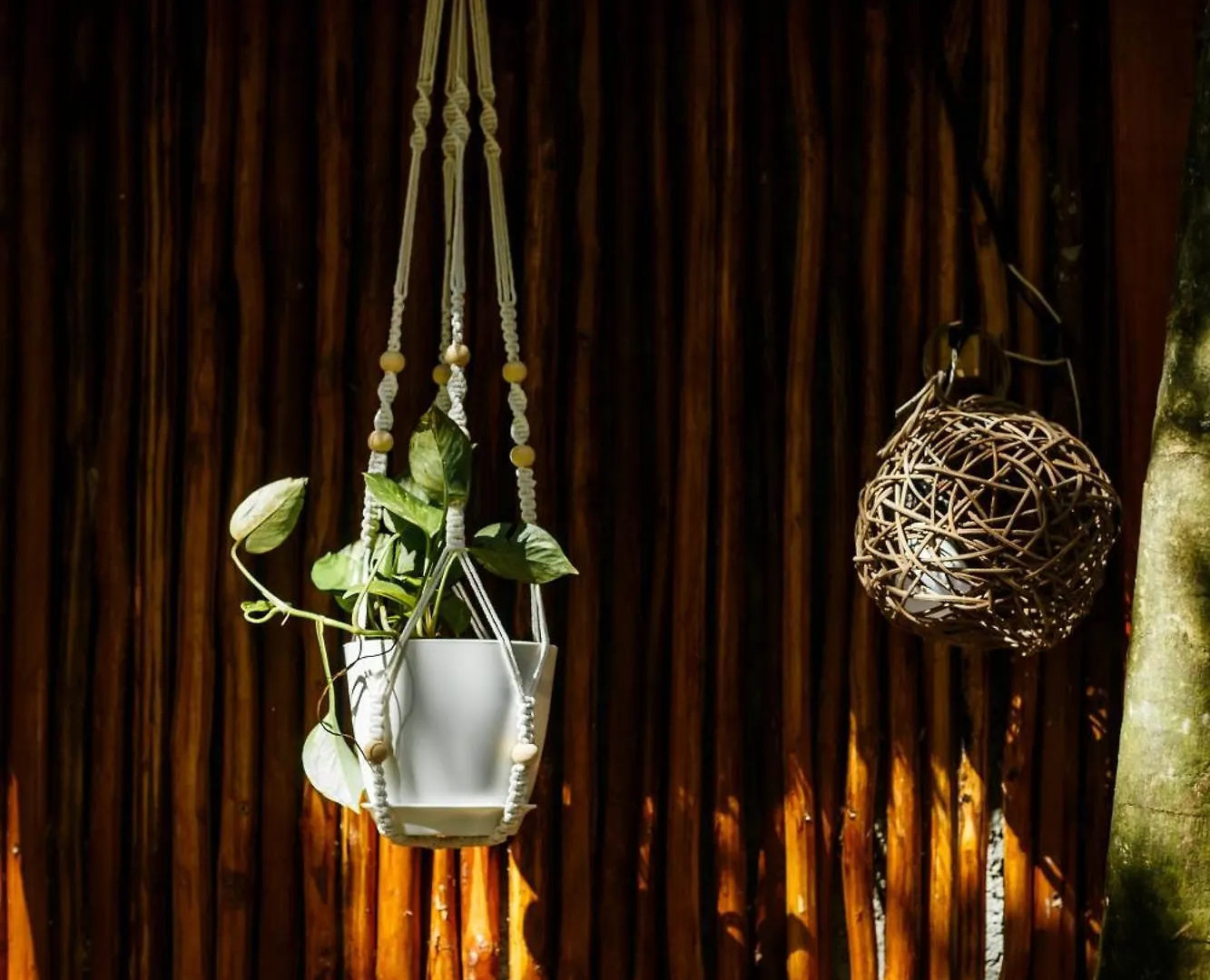 Hotel Eco Banitas Tulum 0*,