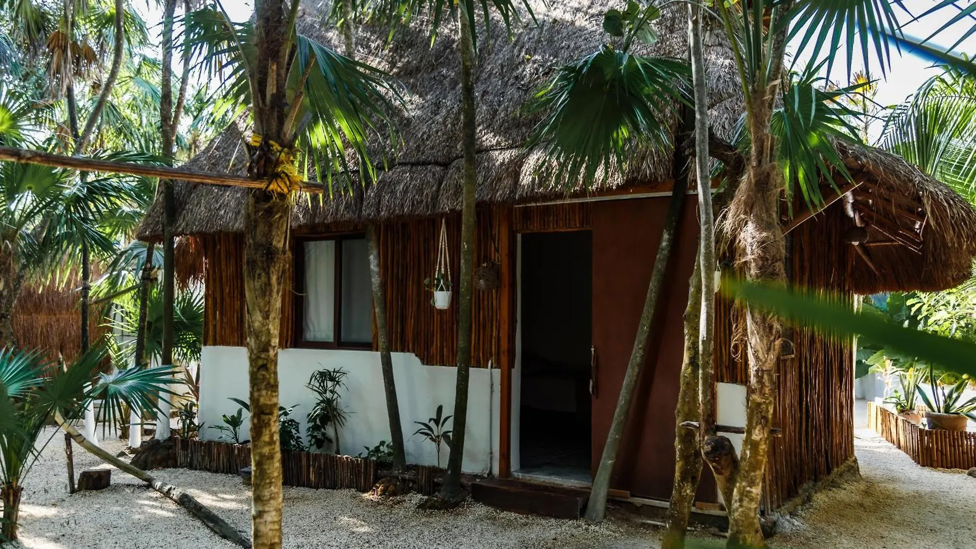 Hotel Eco Banitas Tulum Mexique