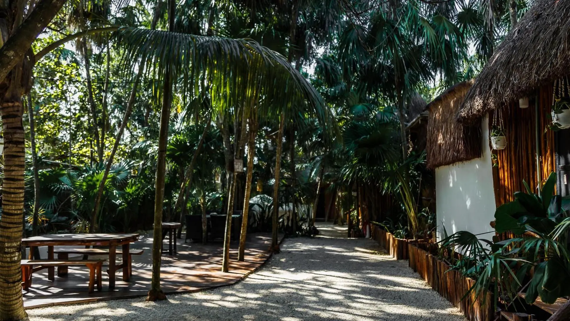 Eco Banitas Tulum酒店 图卢姆