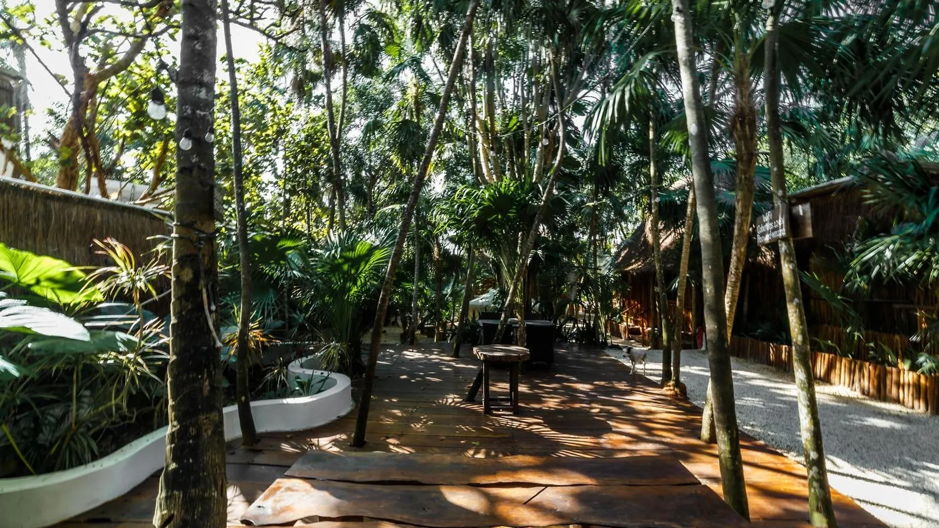 Hotel Eco Banitas Tulum 0*,