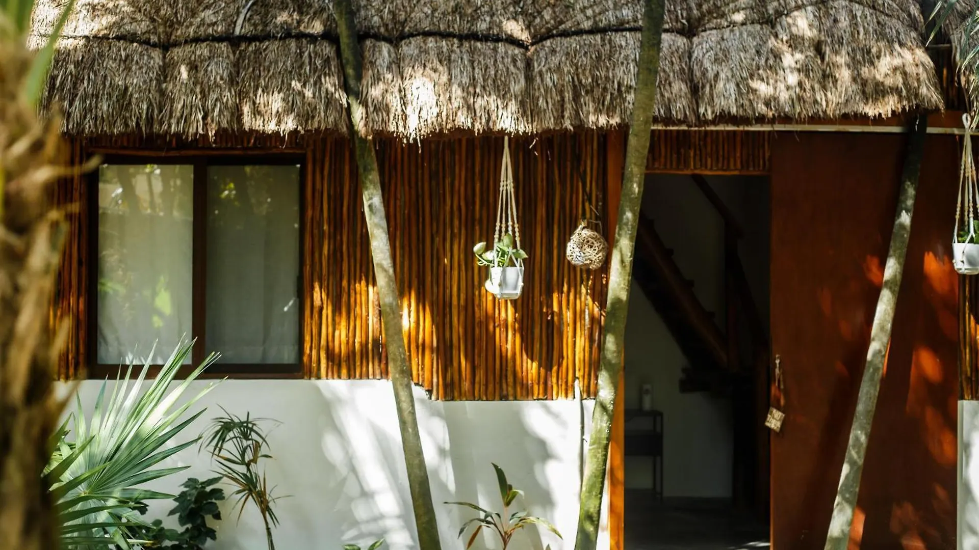 Hotel Eco Banitas Tulum