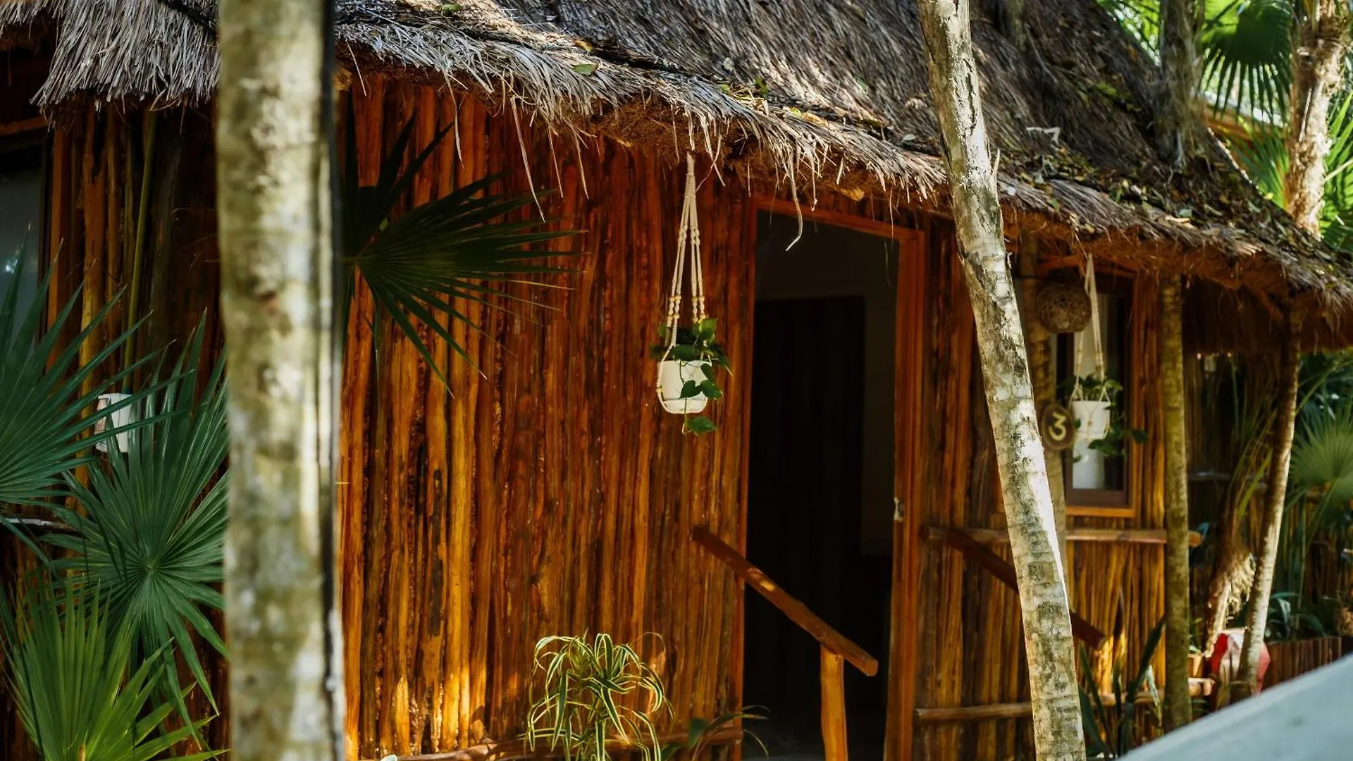 فندق Eco Banitas تولوم