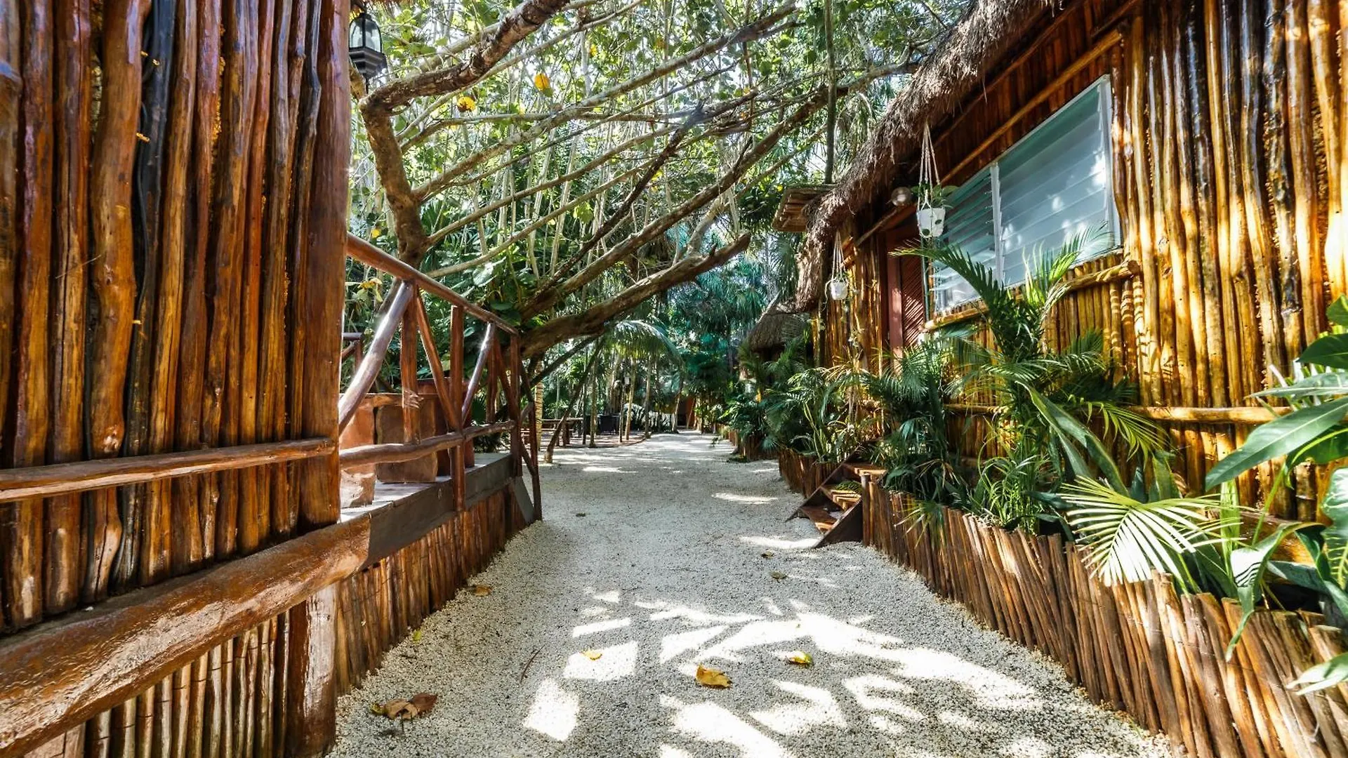 Hotel Eco Banitas Tulum