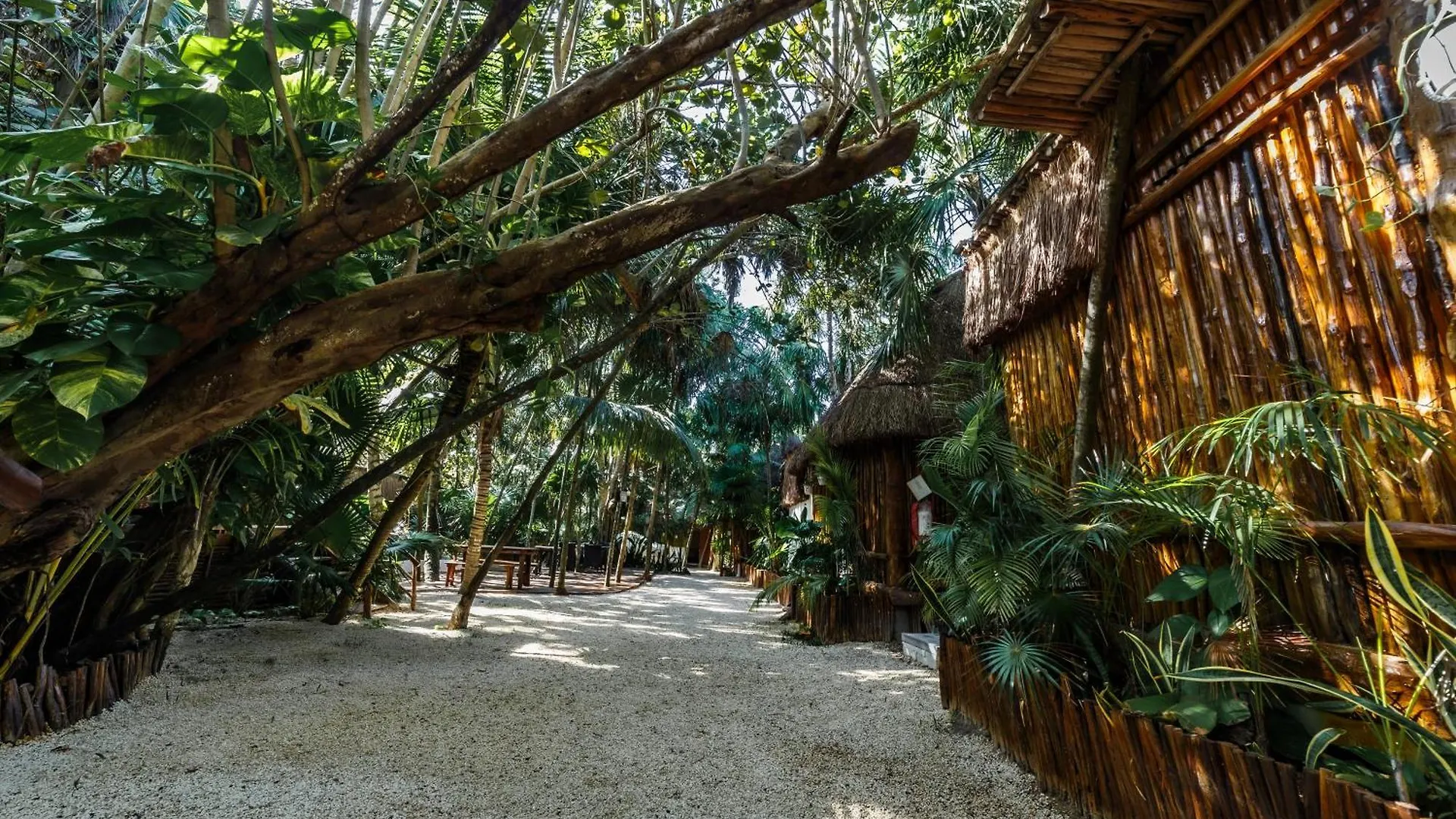 Hotel Eco Banitas Tulum