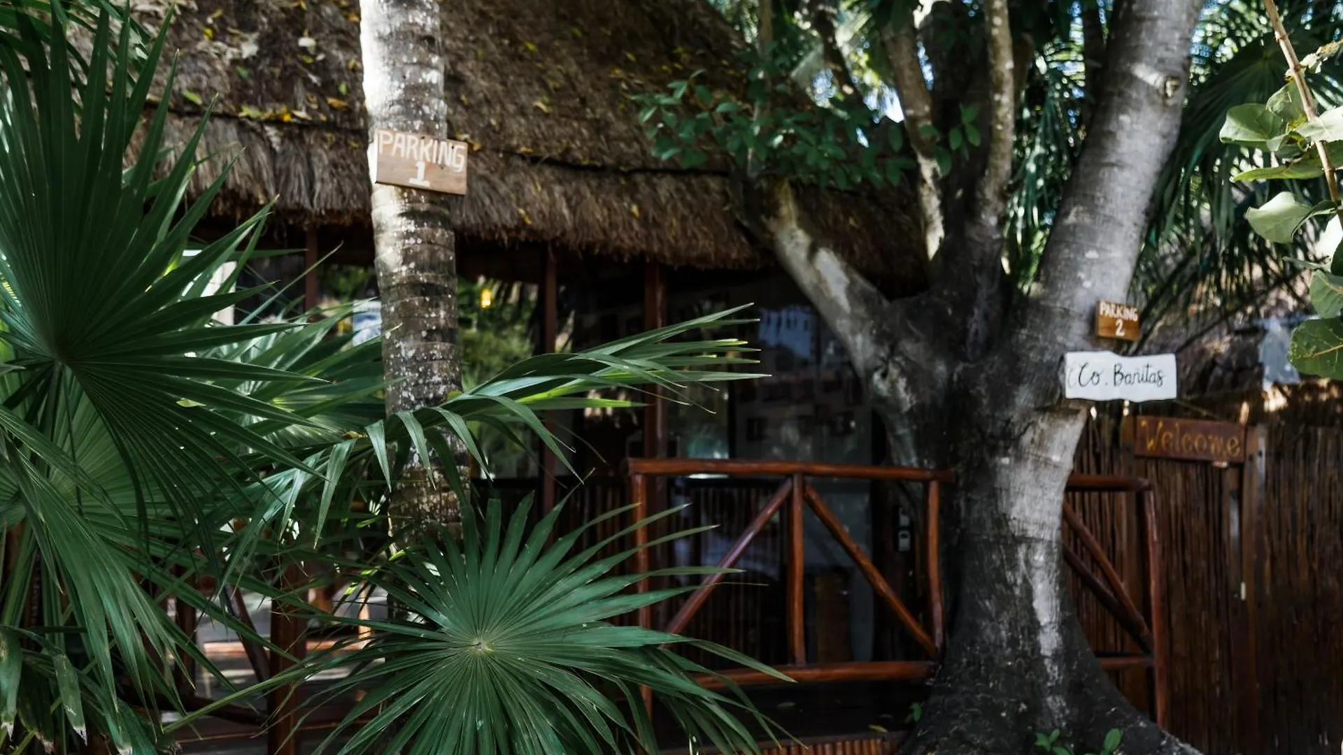 Hotel Eco Banitas Tulum 0*,
