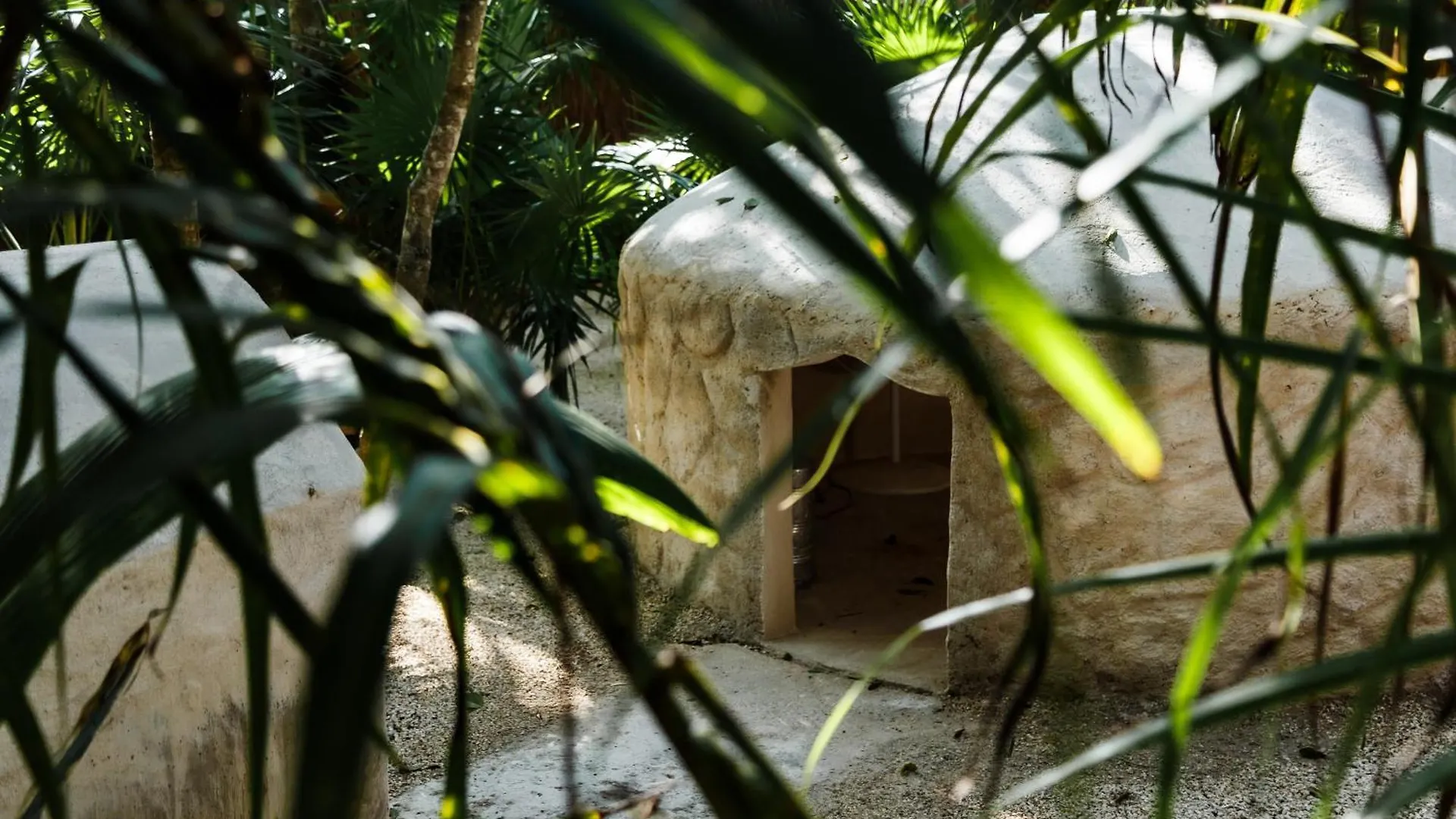 Hotel Eco Banitas Tulum