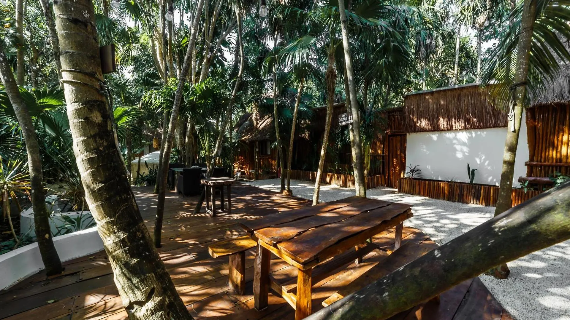 Hotel Eco Banitas Tulum