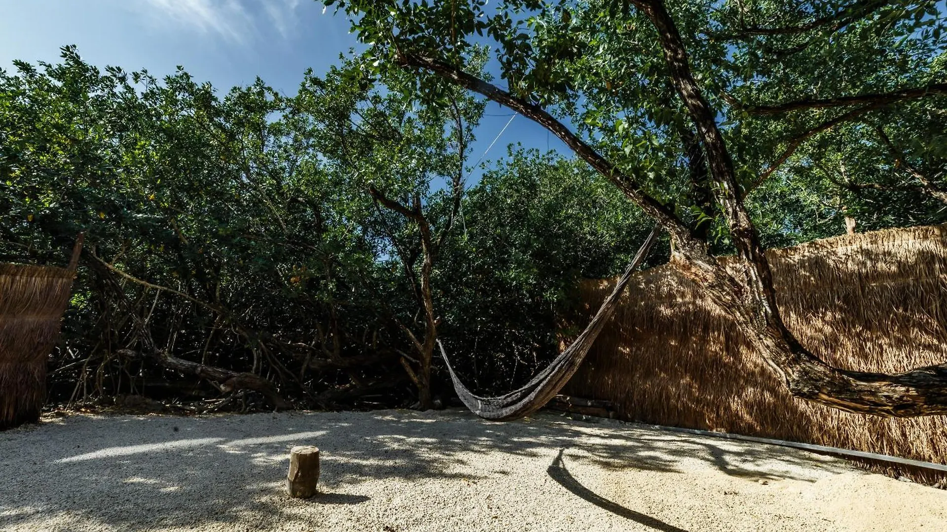 Отель Eco Banitas Тулум