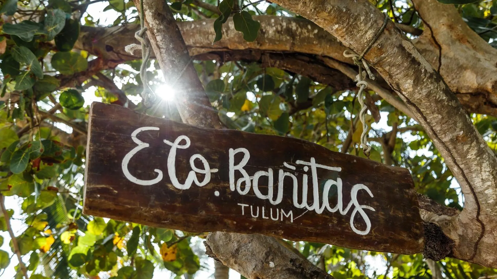 Отель Eco Banitas Тулум