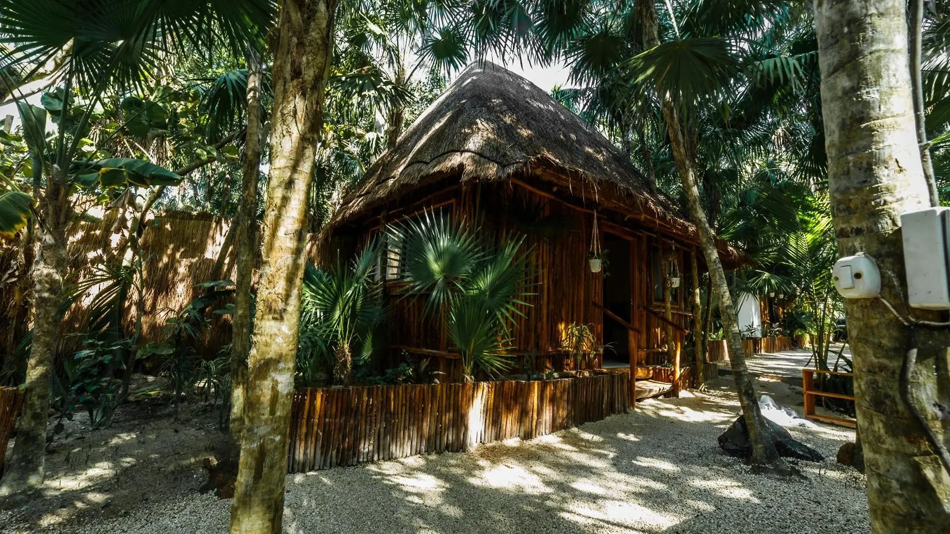 Отель Eco Banitas Тулум